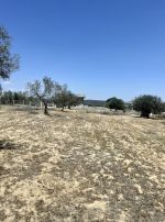 Av un terrain cloturé 5350m² a hammamet sud