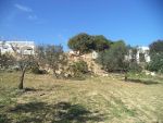 Av un terrain 1030m² a 95md à monchar hammamet