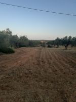 Av un terrain 15000m² à hammamet latrech de 220md