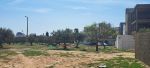 Av terrain à kharouba 220 m²