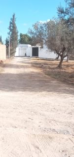 Av terrain a bareket essahel 240m