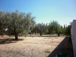 Terrain de 500 m compagne a 10 min de hammamet