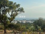 Terrain elyes zone hamammet avec vue degagee