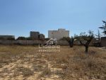 Terrain à batir à mrezgua hammamet nord