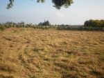 Av terrain 1000m vue mer zone craxi hammamet