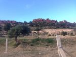 Terrain de 4000m à la campagne d'hammamet