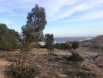 A vendre un beau terrain de 1572m à hammamet nord