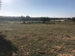 Terrain 1000m avec titre individuel bassbassia yasmine hammamet