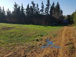 Terrain rebah hammamet zone chraf