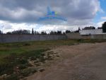 Terrain hanen av hammamet