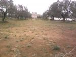 Terrain 650 m viabilisé hammamet nord