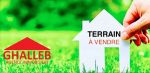 Terrain 250m à bni wael