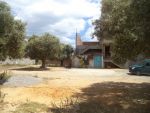 Beaux lots de 200 à kharoub de bareket elsehel