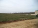 Beau terrain de 300 proche hammamet yasmine
