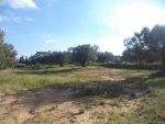 Av terrain de 550 à menchar proche à hammamet yasmine