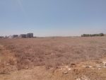 Des lots de terrain à hammamet sud