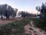 360 m a 75md a sidi hamed