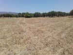 400 m a menchar a 25md