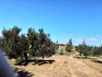 3000 m a 45md a 10 mi de hammamat
