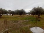 Terrain avec plan pres de hammamt sud