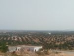 1000 m avec vu mer a hammamt sud