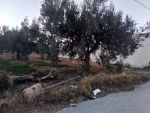 360m a sidi hamed a 75md