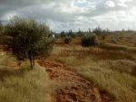 3000 m a 45md a la compagne de hammamt