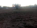 6200 m a la compagne de hammamt