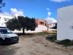Terrain bir bouragba 250 m a 75md