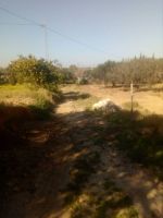 1000 m a 7 min de la plage