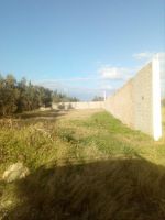 Terrain commercial 1000 m a sidi hamed a