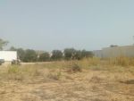 Un lots de terrain a hammamt sud avec 12 oliviers