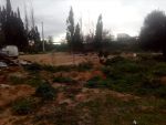 290 m a hammamt sud a vendre