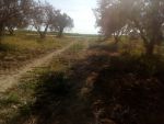 1000 m a cote mer a bouficha