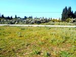 Terrain nabeul 163m² ad