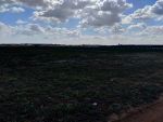 Un bon affaire a hammmat sud un terrain agricole