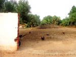 Lot de 150 m route tunis a