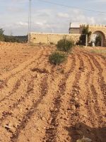 فاش تستنا كلمنا واملك200 م2 بضواحي الحمامات ب 18 مليون فقط