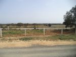 Super terrain de 5000 proche de hammamet yasmine