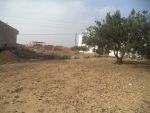 Des lots de terrains dans un emplacement stratégique à sidi hamme