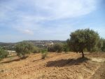 Lots de terrains jusqu'au 5000m² avec emplacement magnifique