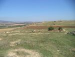 Beau terrain jusqu'au 3000m² à menchar hammamet