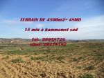 Grand terrain de 4500m² à latrech