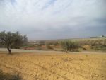 Beau terrain de 500m² proche à centre ville hammamet