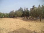 Super lots de terrains à sidi hammed hammamet