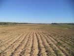 Beau lotissement de 4000 divisé en 500m²