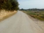 1250m a hamammet sud