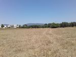Un terrain a la compagne de hammamt