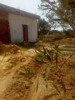 570 m avec un studio avec garage a vendre