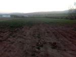 Un lot de terrain a la compagne de hammamaet